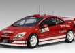 Peugeot 307 WRC 1:18 Monte Carlo 2004